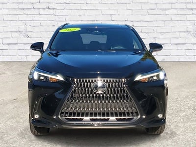 2024 Lexus NX NX 250 Premium