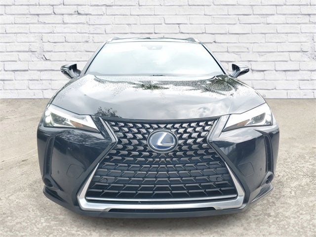 2019 Lexus UX UX 250h