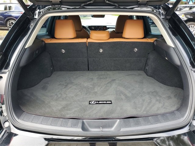 2019 Lexus UX UX 250h